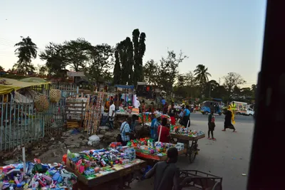 DSC_4191 (Large).JPG